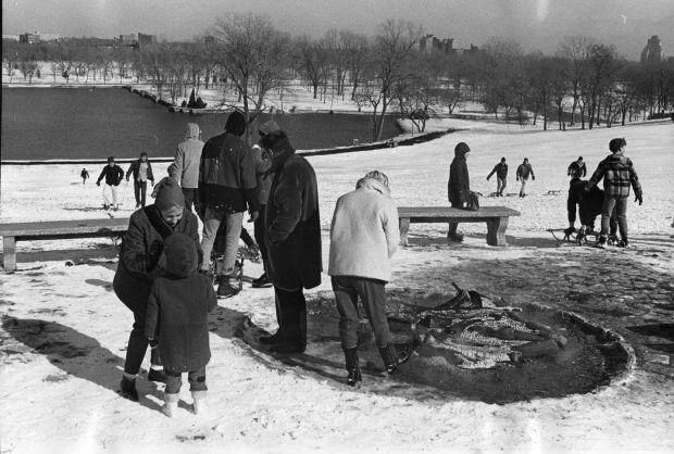 Sledding on Art Hill, 1967